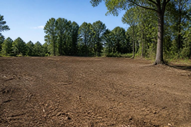Lot Clearing