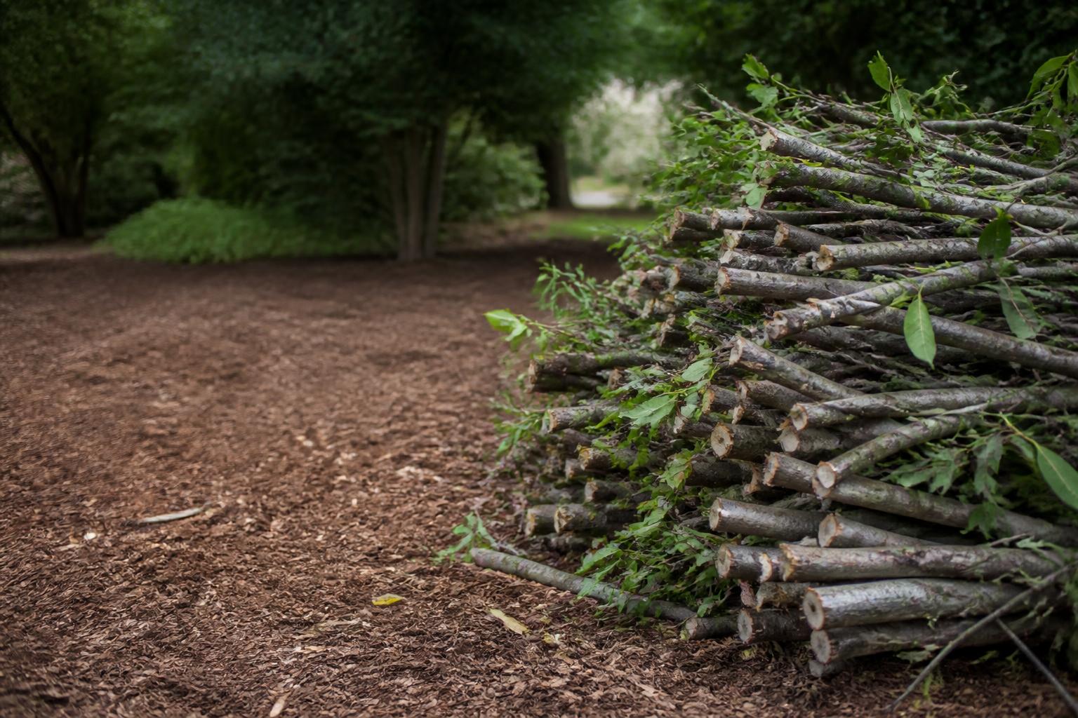 We Care Tree Service work detail